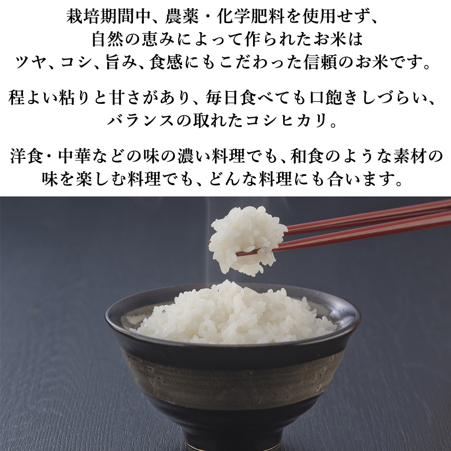 コシヒカリ 米 お米 10kg みづほ生産者グループ 栽培期間中 無