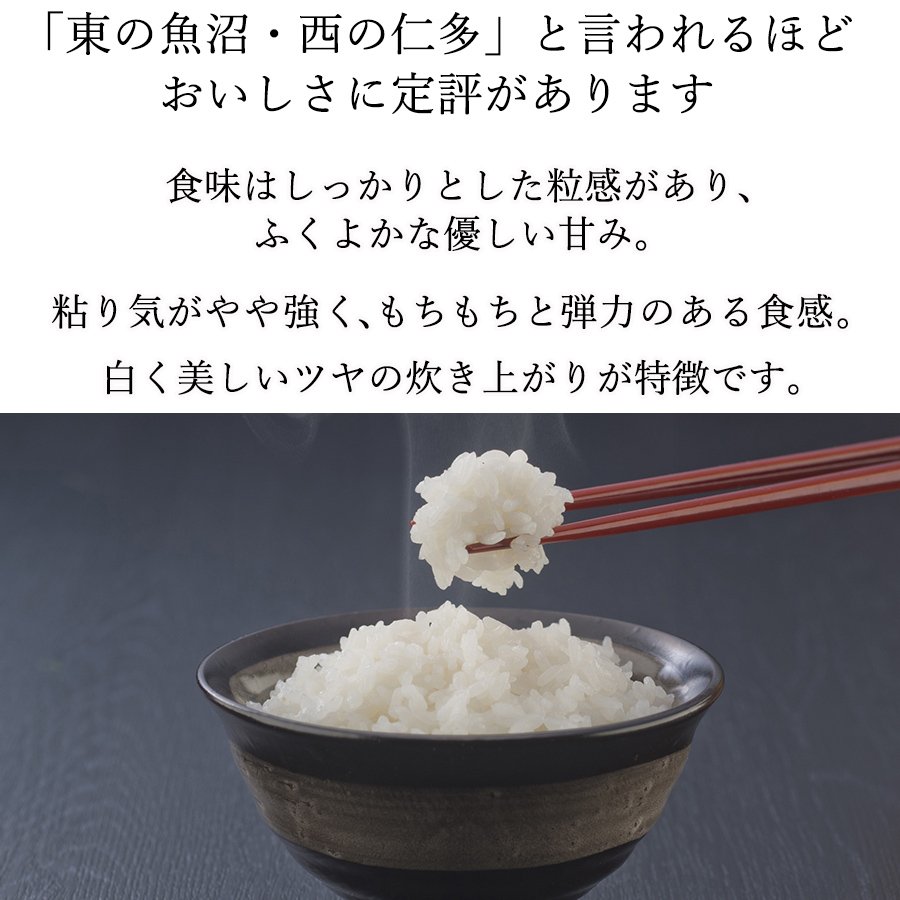 コシヒカリ お米 5kg 令和6年産 仁多米 奥出雲町 仁多郡 島根県