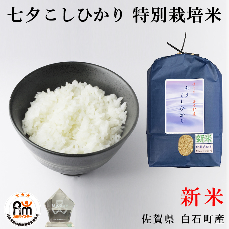 令和5年新米七夕こしひかり10kg お米 特別栽培米 減農薬米 米 - 米