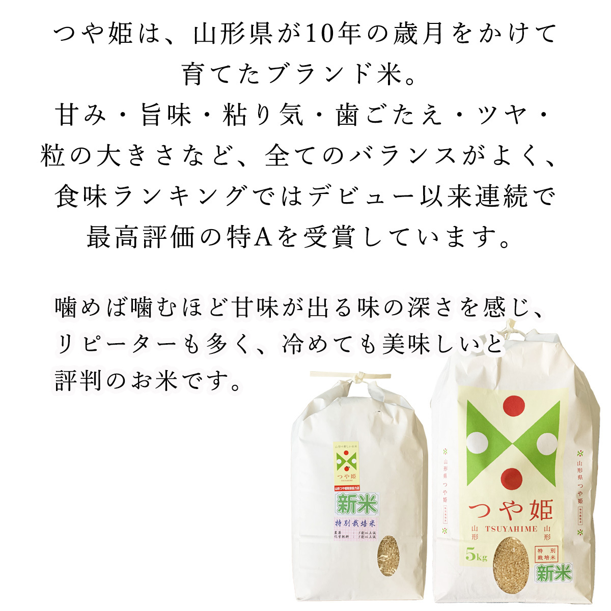 つや姫 お米 10kg 玄米 山形県 庄内産 特別栽培米 5kg×2袋 送料