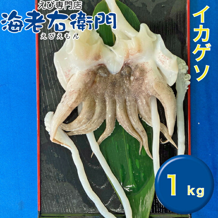 商品画像2