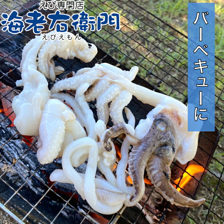 商品画像5