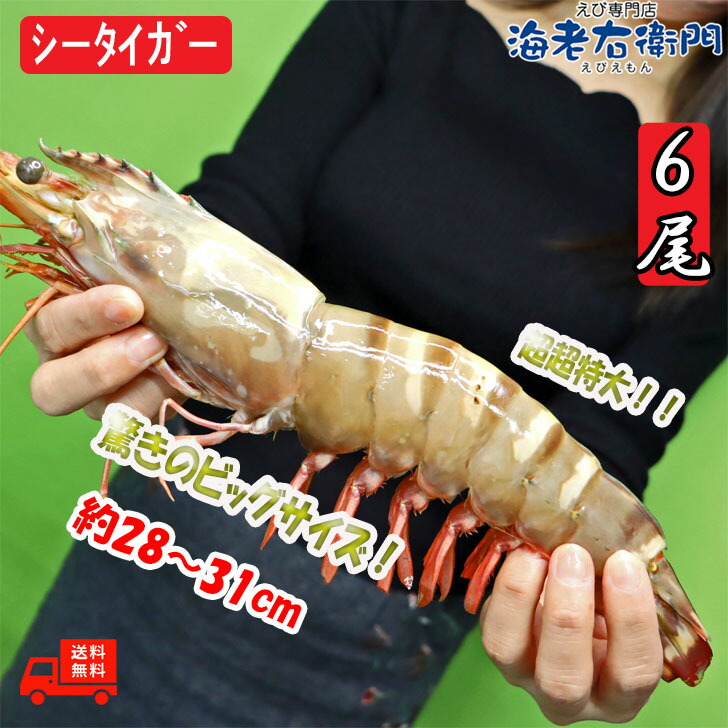 シータイガー 冷凍海老 特大 有頭 冷凍エビ 超特大 1.5kg 6尾 バングラデシュ産船凍結品 高い鮮度 天然有頭シータイガー 海老 エビ 大きい  冷凍えび 業務用 : 601 : えび専門店海老右衛門 - 通販 - Yahoo!ショッピング