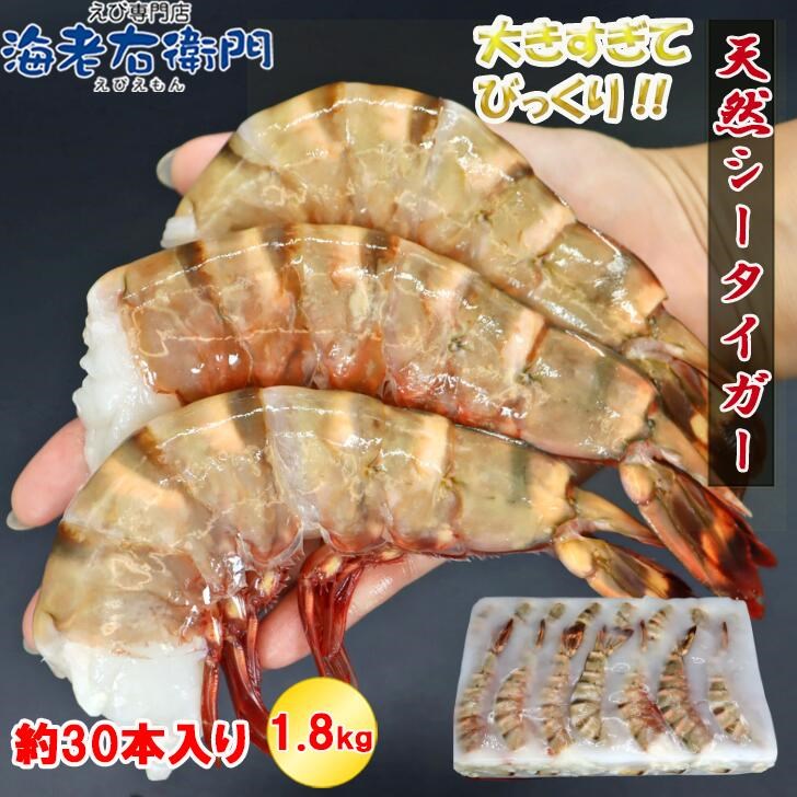 海老天ぷら 超超特大6/8サイズ 約30本入り 天然シータイガー 無頭えび 1.8kg ブロック バーベキュー 無頭 えび 冷凍エビ 天然海老 エビ 海老 天ぷら エビフライ