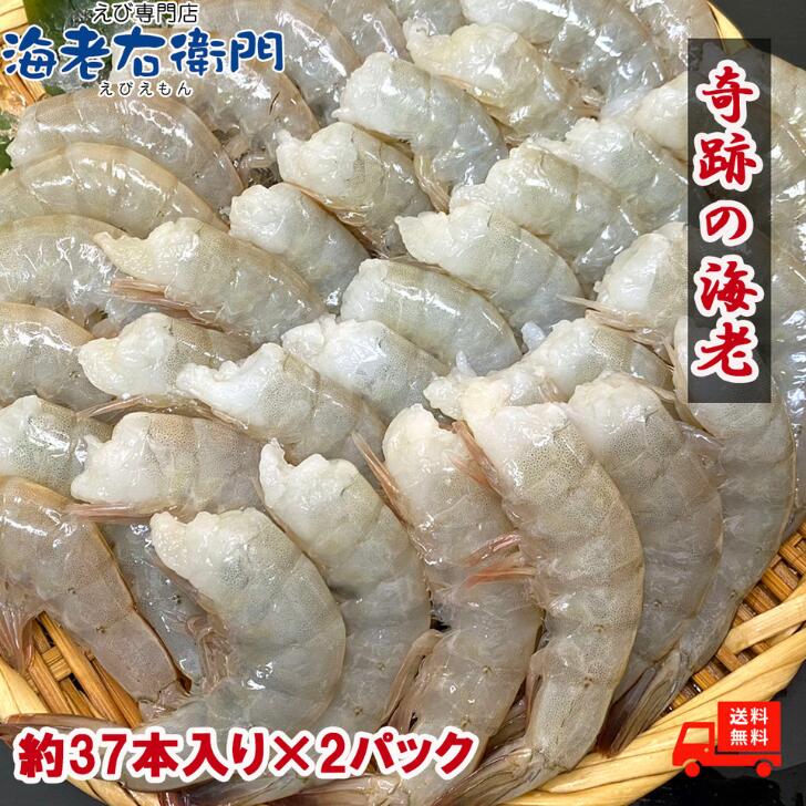 商品画像4