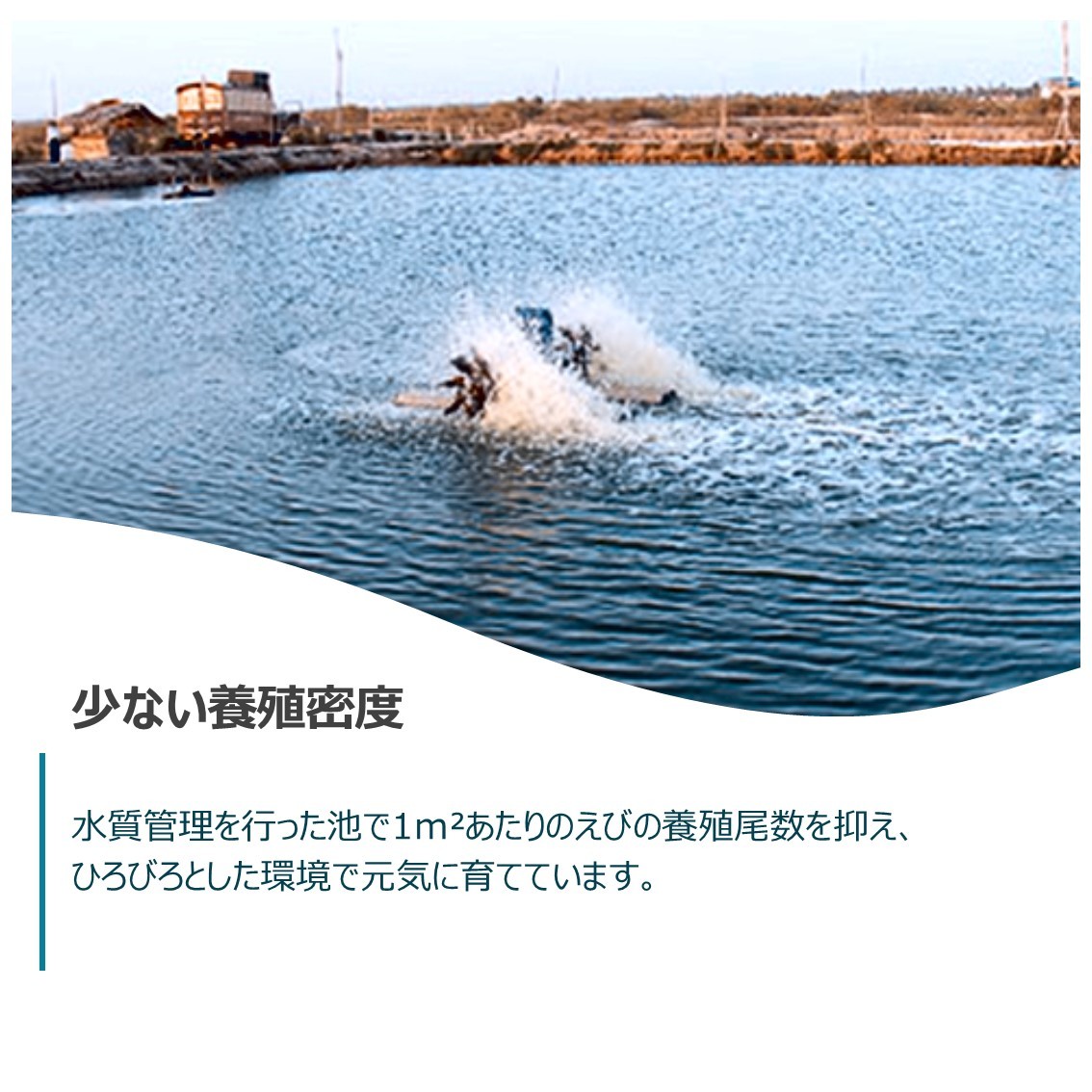 商品画像16