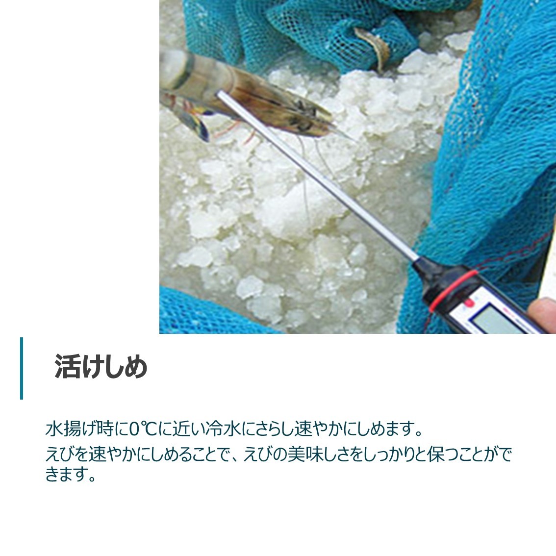 商品画像17