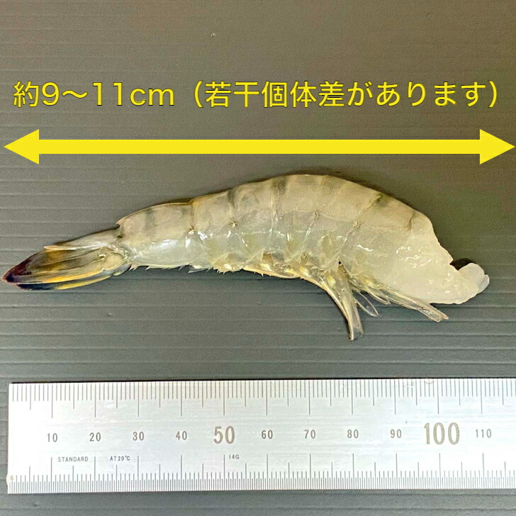 商品画像4