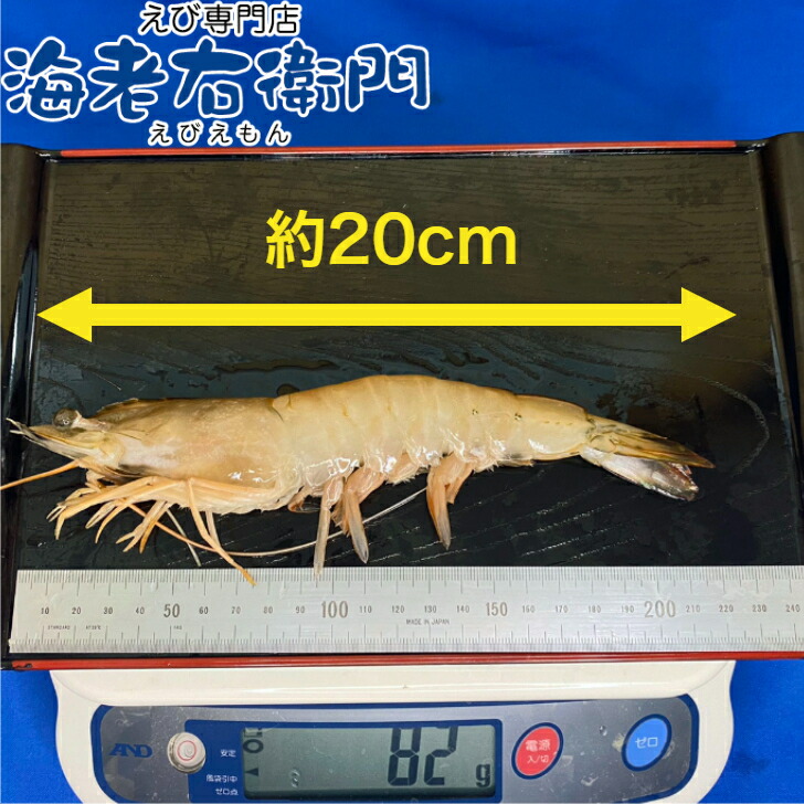 商品画像3