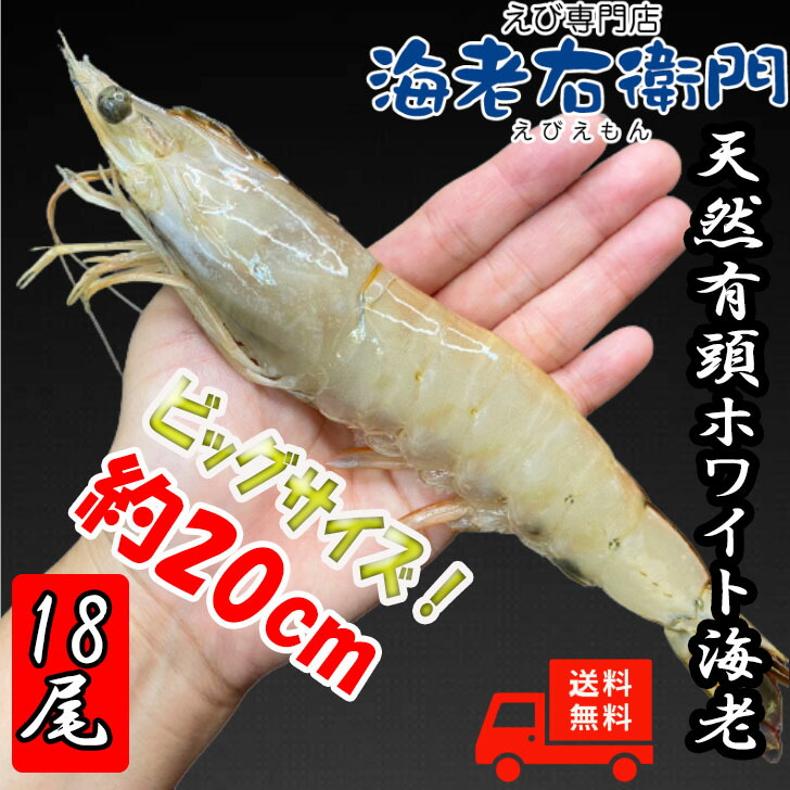 商品画像1