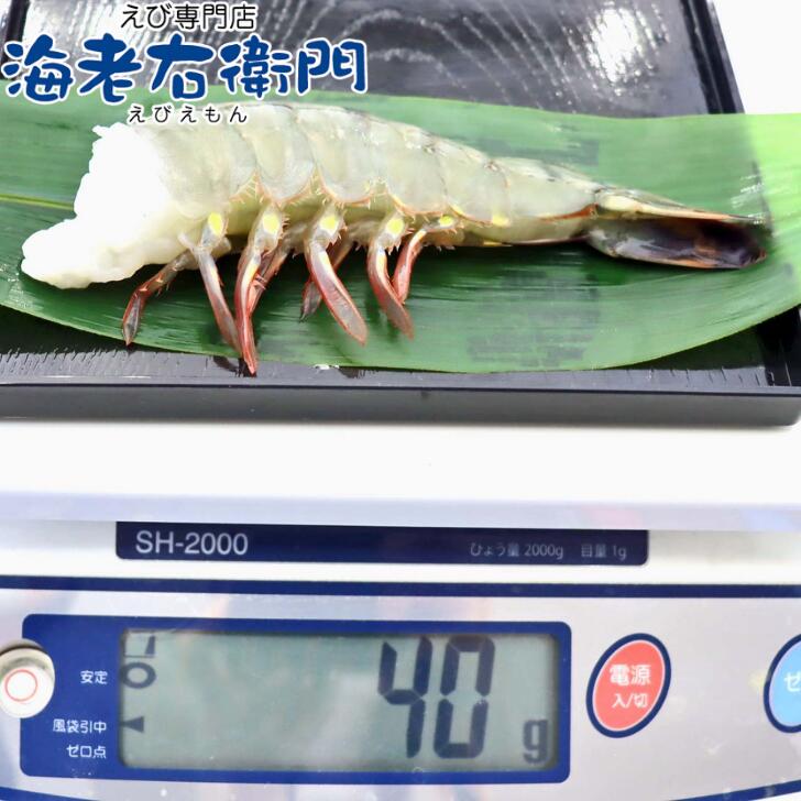 商品画像4
