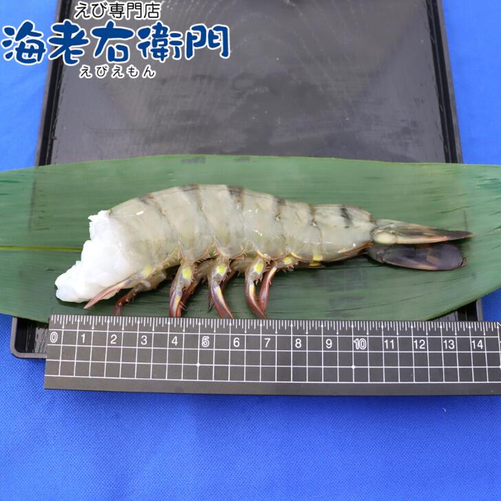 商品画像5