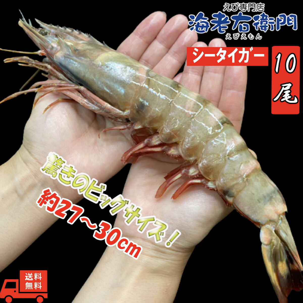シータイガー 冷凍えび 有頭 特大 超特大 天然有頭シータイガー