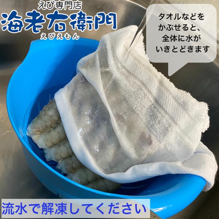 商品画像12