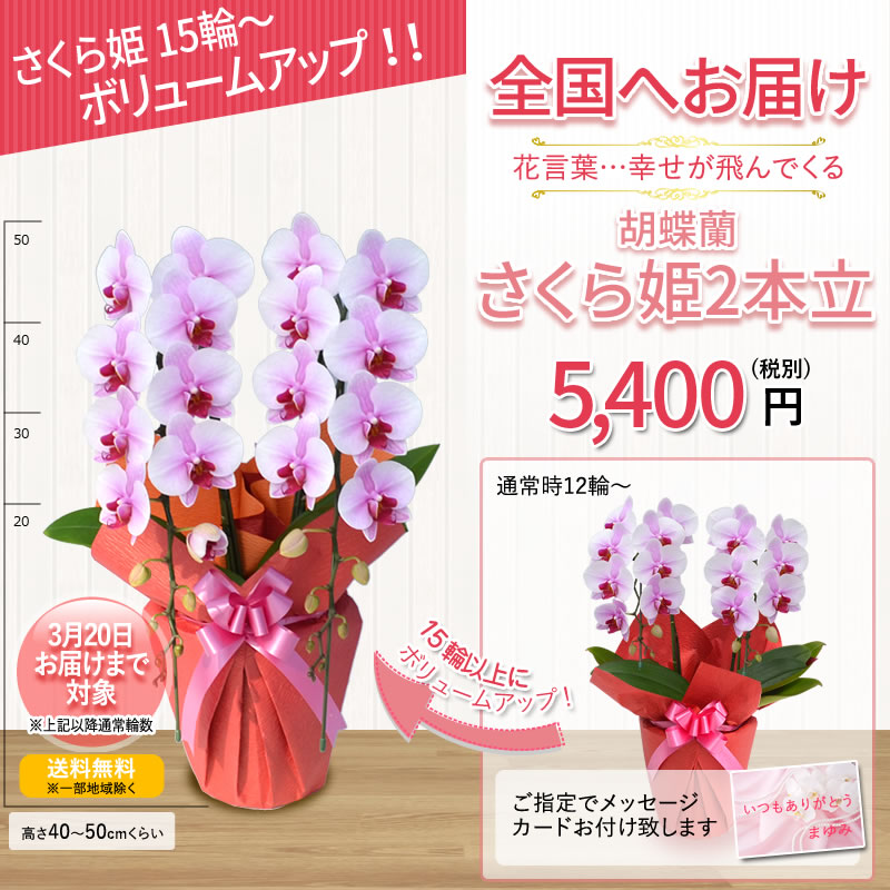 さくら姫ボリュームアップ