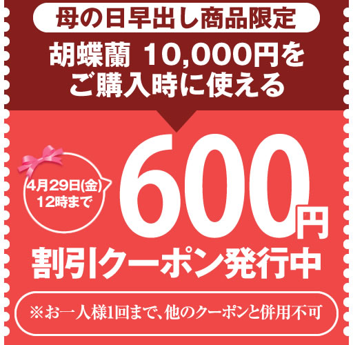 胡蝶蘭専門 海老名洋蘭園 Yahoo!店の「【母の日早出し限定】胡蝶蘭10,000円限定 600円OFFクーポン」のクーポン