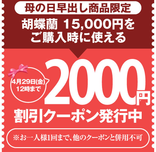 胡蝶蘭専門 海老名洋蘭園 Yahoo!店の「【母の日早出し限定】胡蝶蘭15,000円限定 2000円OFFクーポン」のクーポン