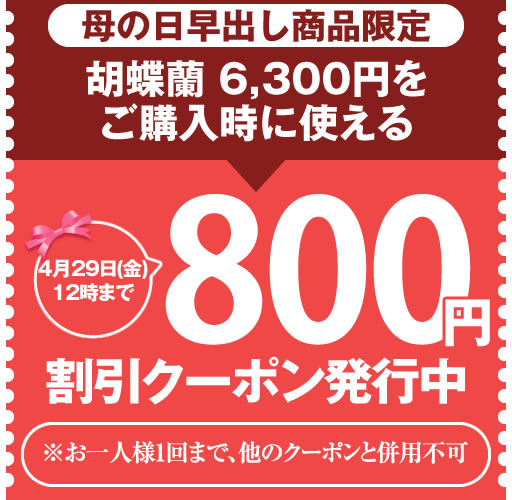 胡蝶蘭専門 海老名洋蘭園 Yahoo!店の「【母の日早出し限定】胡蝶蘭6,300円限定 800円OFFクーポン」のクーポン
