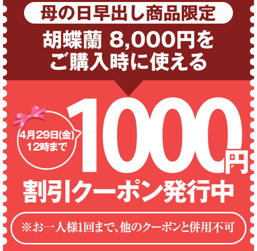 胡蝶蘭専門 海老名洋蘭園 Yahoo!店の「【母の日早出し限定】胡蝶蘭8,000円限定 1000円OFFクーポン」のクーポン