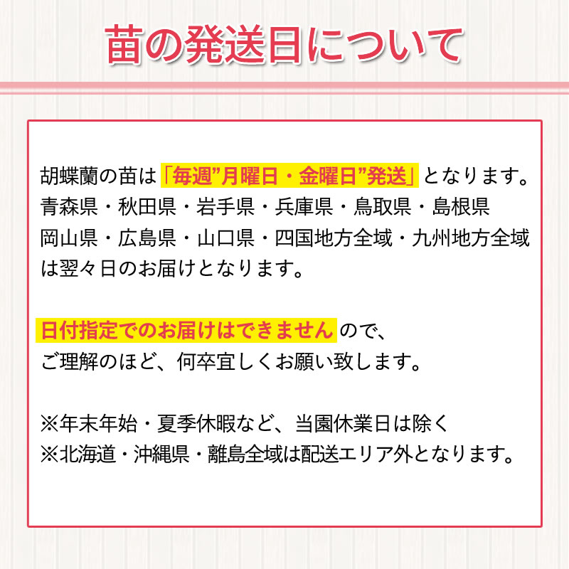 発送日