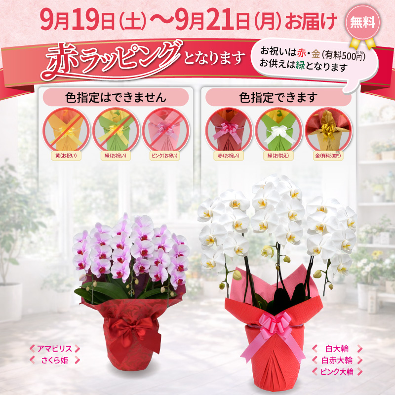 赤ラッピング