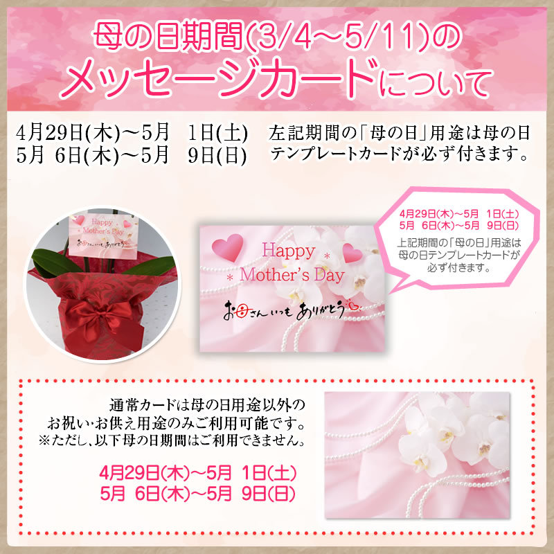 母の日メッセージカード
