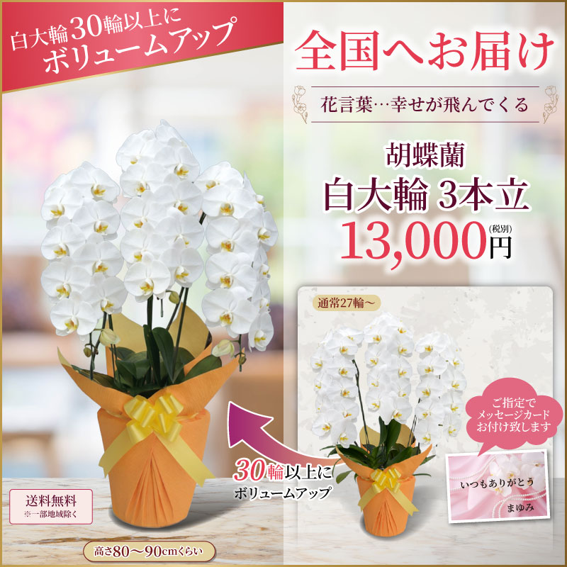 ボリュームアップ
