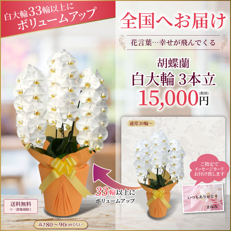 ボリュームアップ