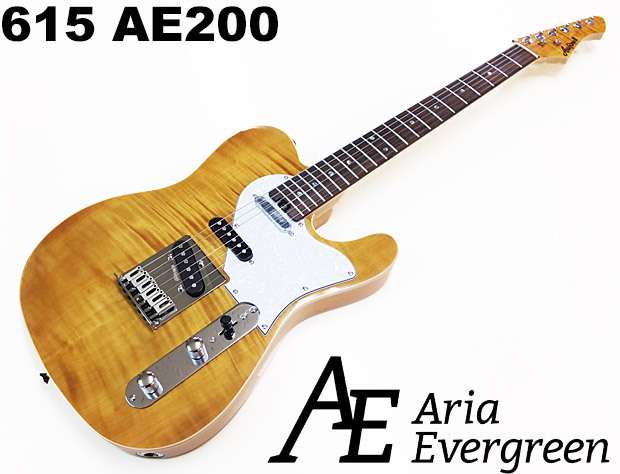 AriaProII 615 AE200 YG アリア・エヴァーグリーン エレキギター初心者 18点セット VOXアンプとZOOM G1XFour付属  :615yg16xv:EbiSound ギターとウクレレのセット専門店 通販 