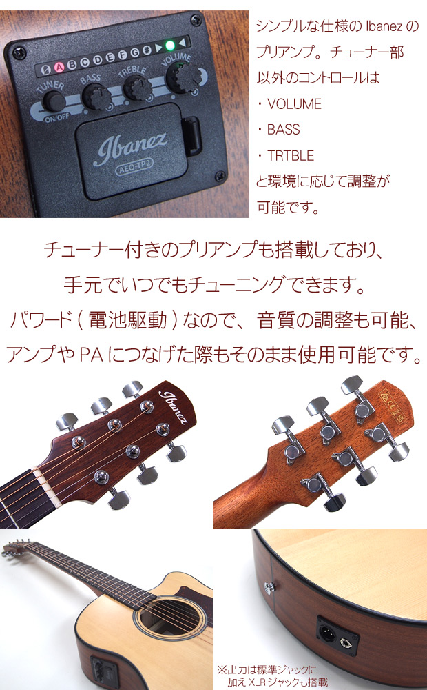 Ibanez（アイバニーズ） AAM50CE OPN 初心者 入門 17点セット エレアコ