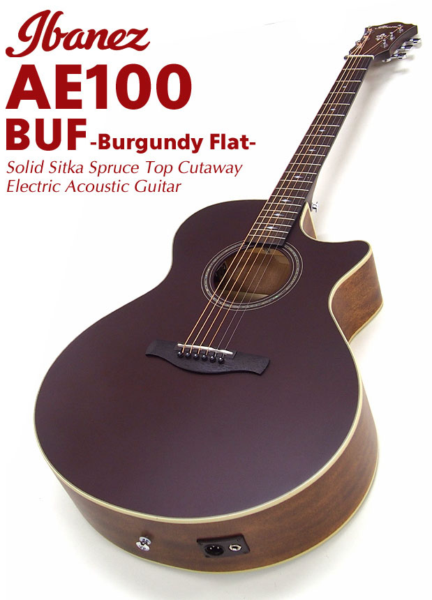 Ibanez アイバニーズ エレアコギター AEG-450MS E ケース付き Ibanez アイバニーズ エレアコギター AEG-450MS E ケース付き