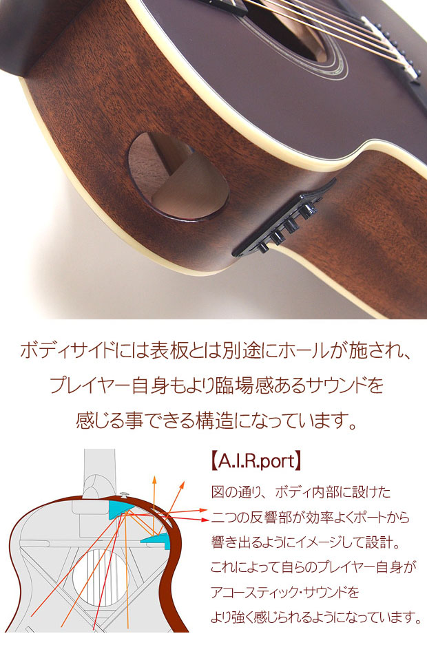 Epiphone エピフォン DR-400 マスタービルド エレアコ : 二葉