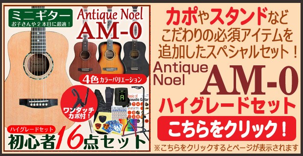 ミニギター アコギ アコースティックギター 初心者 入門 12点 セット 