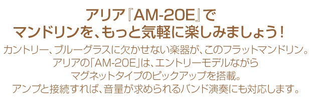 マンドリン ARIA アリア AM-20E 初心者 11点セット ピックアップ搭載