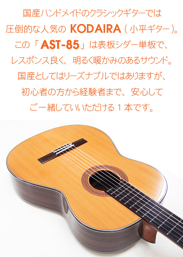 ast85-2.jpg