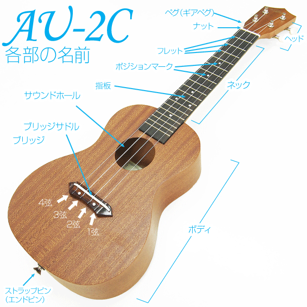 ウクレレ アリア AU-2C コンサート 初心者 9点セット マホガニー Aria (弦高調整済)(ソロ向き)(エンドピン付)(EbiSoundオリジナル)(u)  : au2csj : EbiSound ギターとウクレレのセット専門店 - 通販 - Yahoo!ショッピング