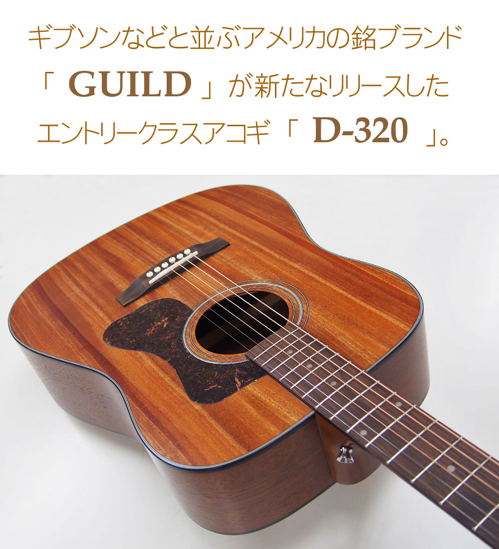 GUILD ギルド アコースティック ギター D-320 アコギ 初心者 入門 DVD