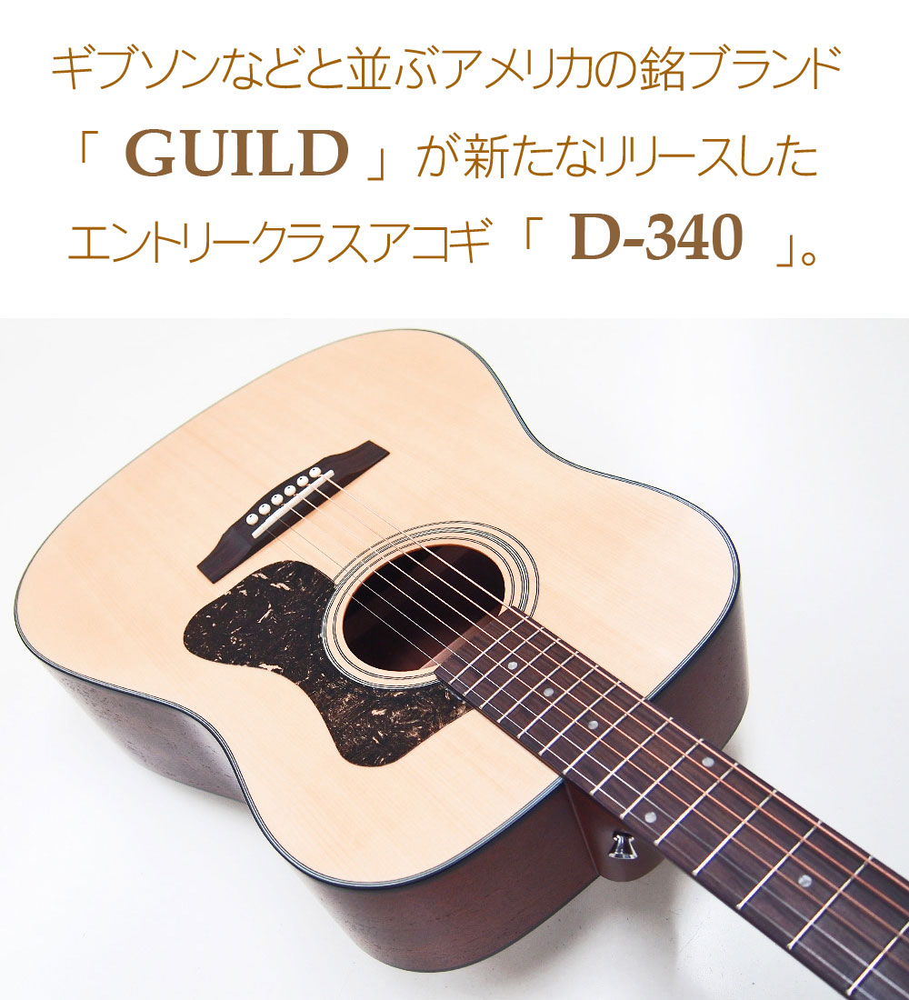 GUILD ギルド アコースティック ギター D-340 アコギ 初心者 入門 DVD