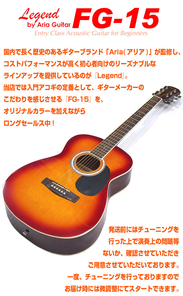 アコースティックギター アコギ 初心者 入門 13点セット Legend 