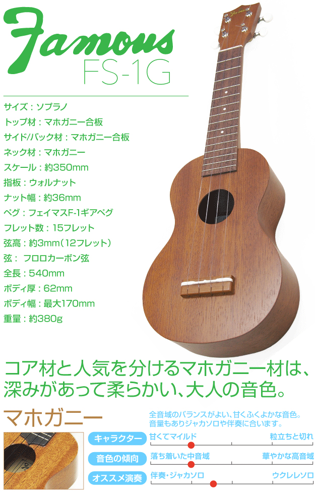 Famous フェイマス FS-1G ハードケース チューナー セット 国産