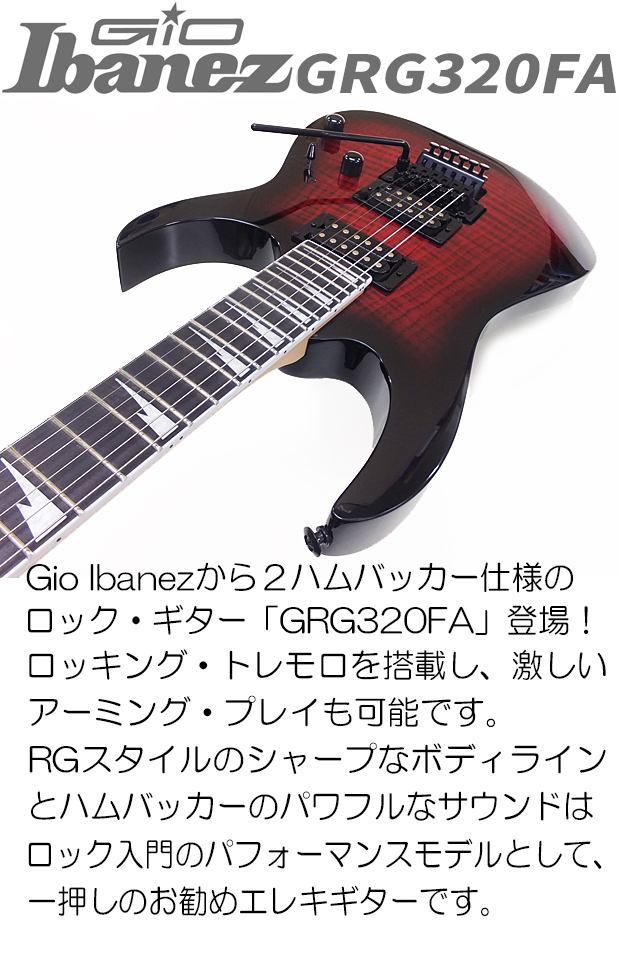 Ibanez アイバニーズ RG320 DX エレキギター アイバニーズ エレキギター RG320 DX 黒 Amazon.com: Ibanez Gio