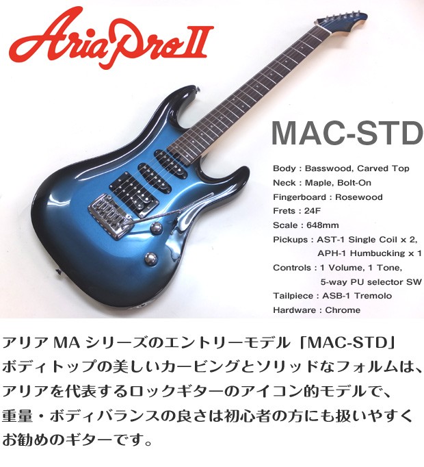 エレキギター 初心者セット AriaProII MAC-STD 9点 ベーシックセット エレキギター入門