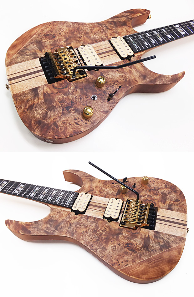 Ibanez（アイバニーズ） RGT1220PB-ABS(Antique Brown Stained) RG