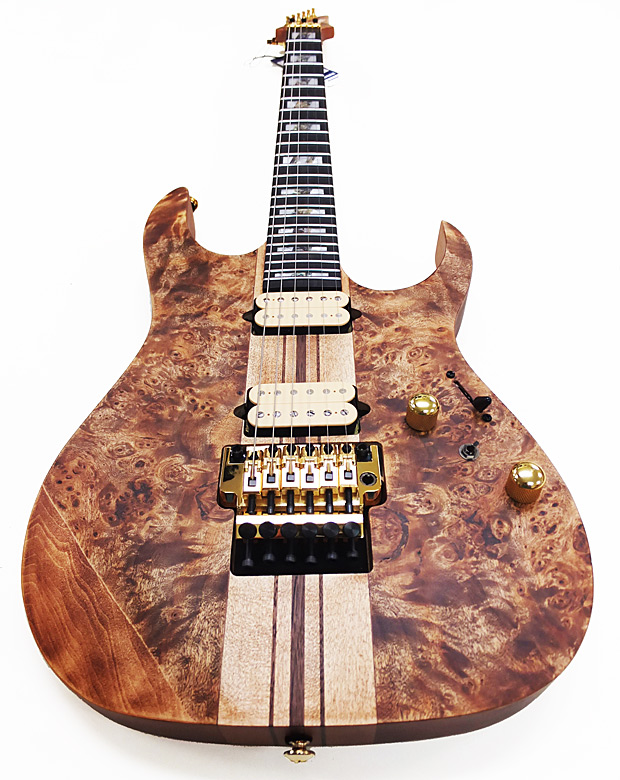 Ibanez（アイバニーズ） RGT1220PB-ABS(Antique Brown Stained) RG