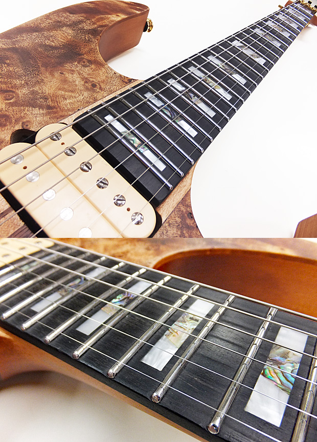 Ibanez（アイバニーズ） RGT1220PB-ABS(Antique Brown Stained) RG