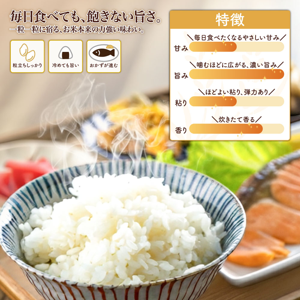 はえぬき 令和7年産 お米 20kg 米 白米 10kg×2袋 送料無料 山形県産