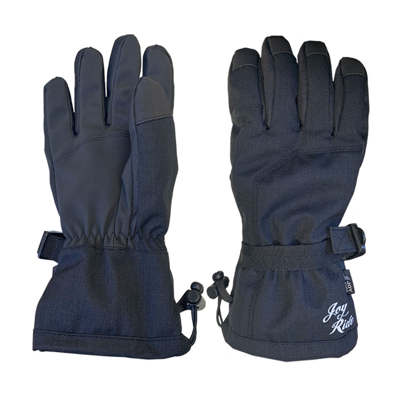 ジョイライド スキーグローブ メンズ アルペンスキー スノーボード