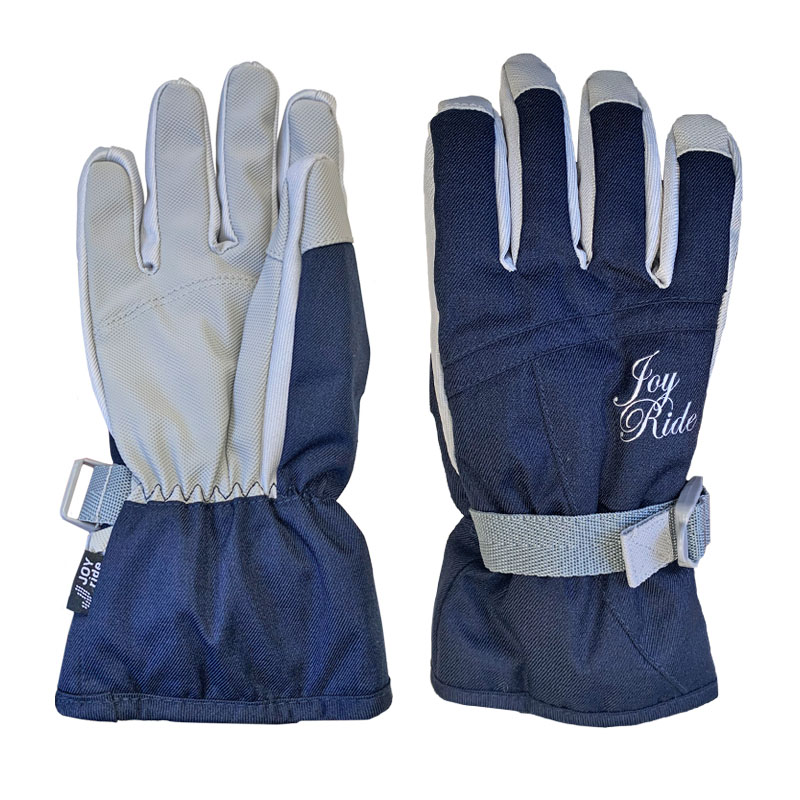 ジョイライド スキーグローブ レディース アルペンスキー スノーボード