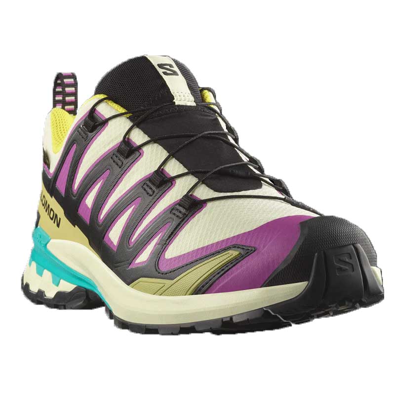 SALOMON（サロモン） XA PRO 3D V9 GORE-TEX ゴアテックス メンズ