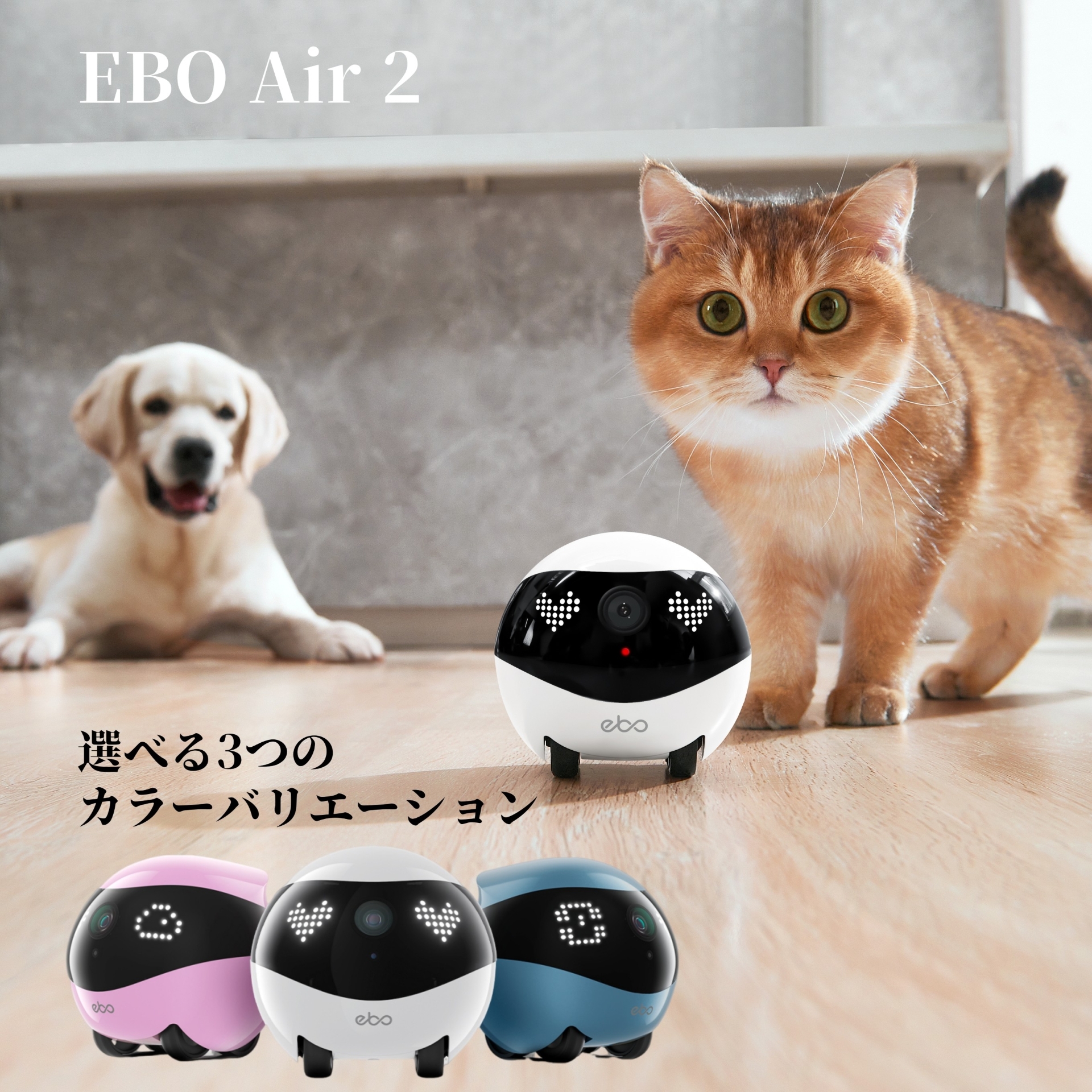 EBO Japan - Yahoo!ショッピング